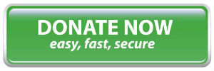 Donate Now (easy, fast, secure) button